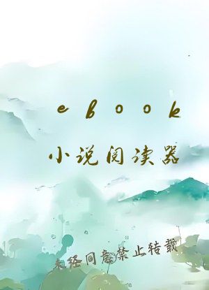 ebook小说阅读器