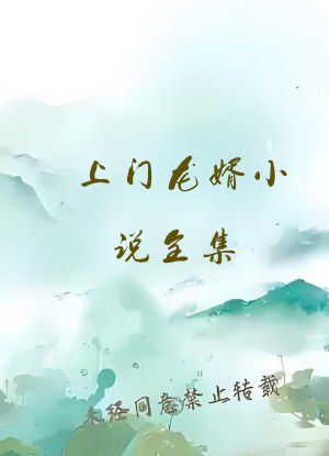 上门龙婿小说全集