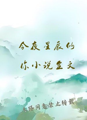 今夜星辰似你小说全文