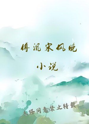 傅沉宋风晚小说