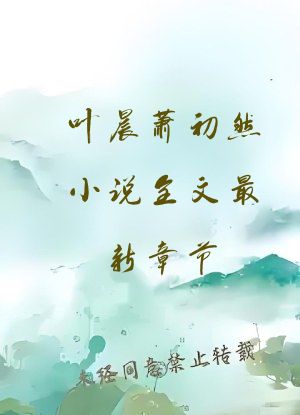叶晨萧初然小说全文最新章节