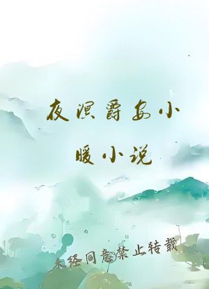 夜溟爵安小暖小说