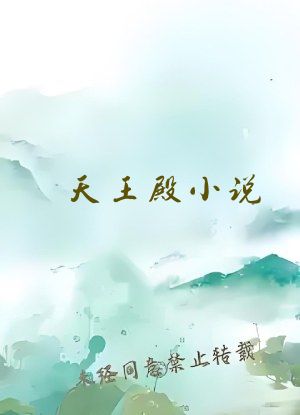 天王殿小说