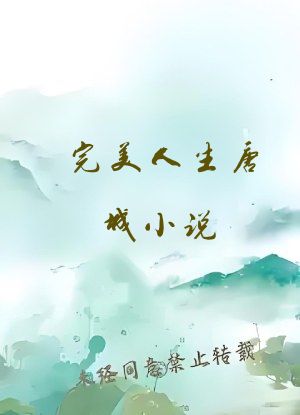 完美人生唐诚小说