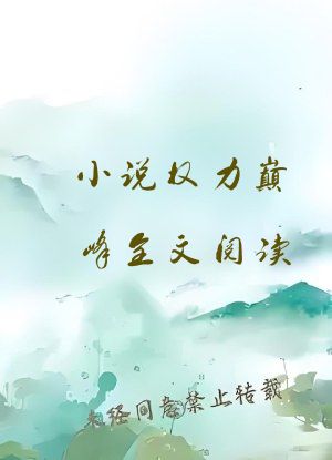 小说权力巅峰全文阅读