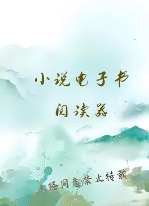 小说电子书阅读器
