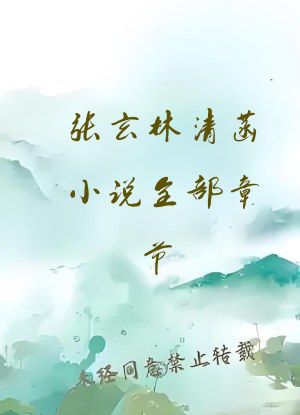 张玄林清菡小说全部章节