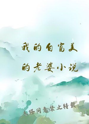 我的白富美的老婆小说