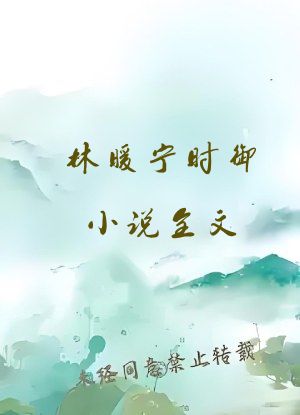 林暖宁时御小说全文