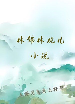 林锦林婉儿小说