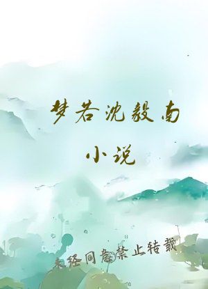 梦若沈毅南小说