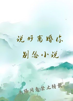 说好离婚你别怂小说