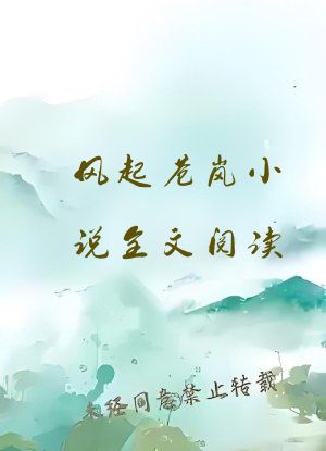 风起苍岚小说全文阅读