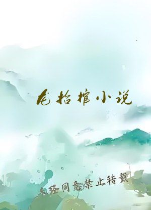 龙抬棺小说